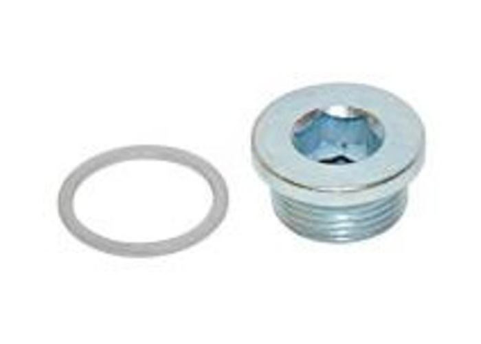 OIL PAN DRAIN PLUG ( WITH COOPER WASHER)